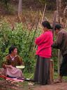 Local farmers near the lake.